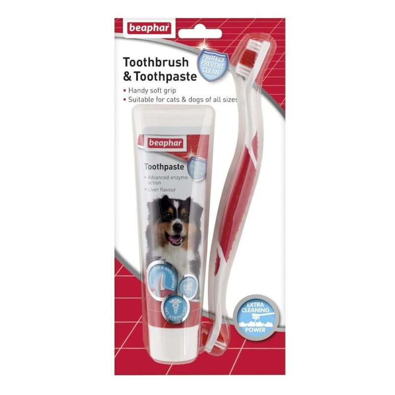 BEAPHAR PACK DENTAL PASTA 100 GR + ESCOVAWEPET CÃO GATO