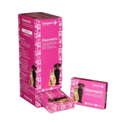 Gloenteric 503mg Cães e Gatos 12x4 Cápsulas