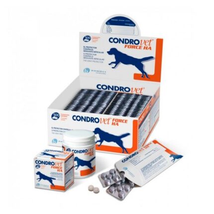 condrovet cão gato bioiberica