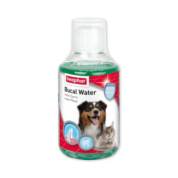 BEAPHAR ELIXIR BUCAL 250 ML WEPET CÁO GATO