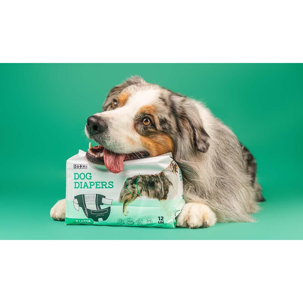 DASHI-DOG-DIAPERDASHI-DOG-DIAPERS-12UN_2-1212x708-1 Dashi Dog Diapers 12un WEPET