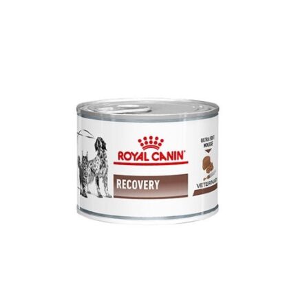 ROYAL CANIN VET RECOVERY CANINE & FELINE 195GR WEPET CÃO GATO