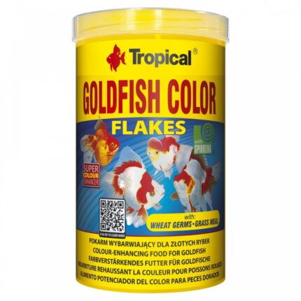 Tropical Goldfish Color Wepet