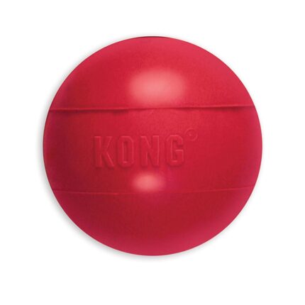kong ball