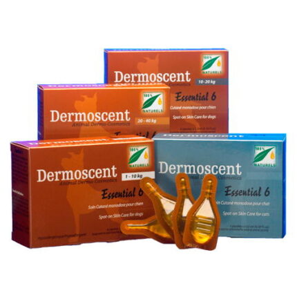 dermoscent essential 6 spot on cães