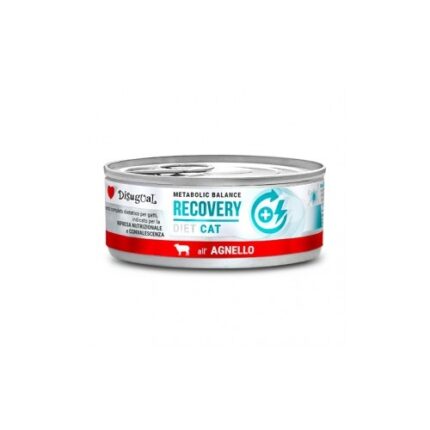 DSG DIETA GATO RECOVERY CORDEIRO 85GR WEPET