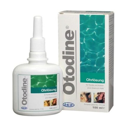 otodine 100ml