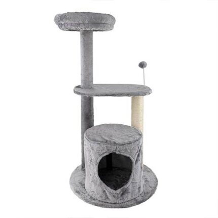 echo tree cat wept gato