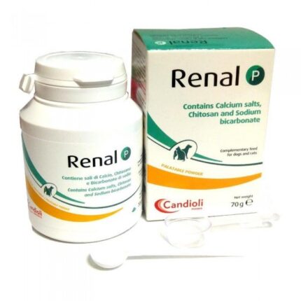 kimi renal p