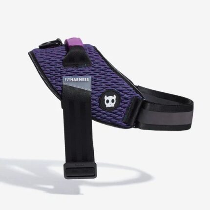 zee.dog wicked flyharness