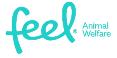 feel_logo