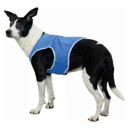 Pawise Colete Refrescante WEPET